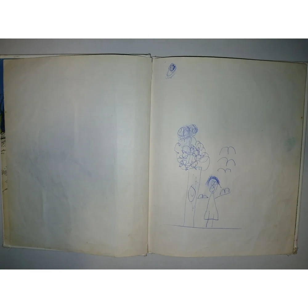 The Old Witch and‎ the Wizard Hardcover Ida DeLage
